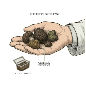 Kit para Trufas